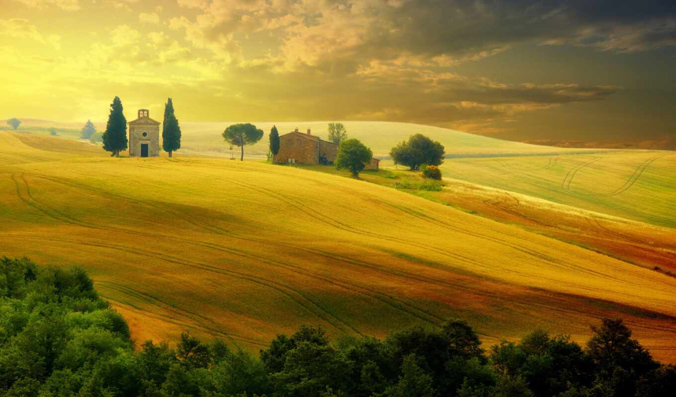 природа, summer, красивые, italian, trees, italy, tuscany, margin, countryside