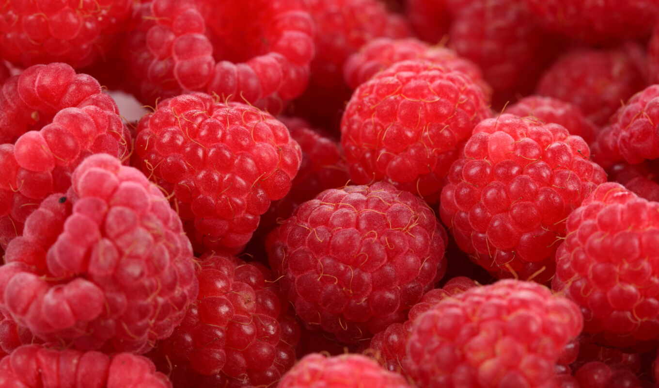 raspberry