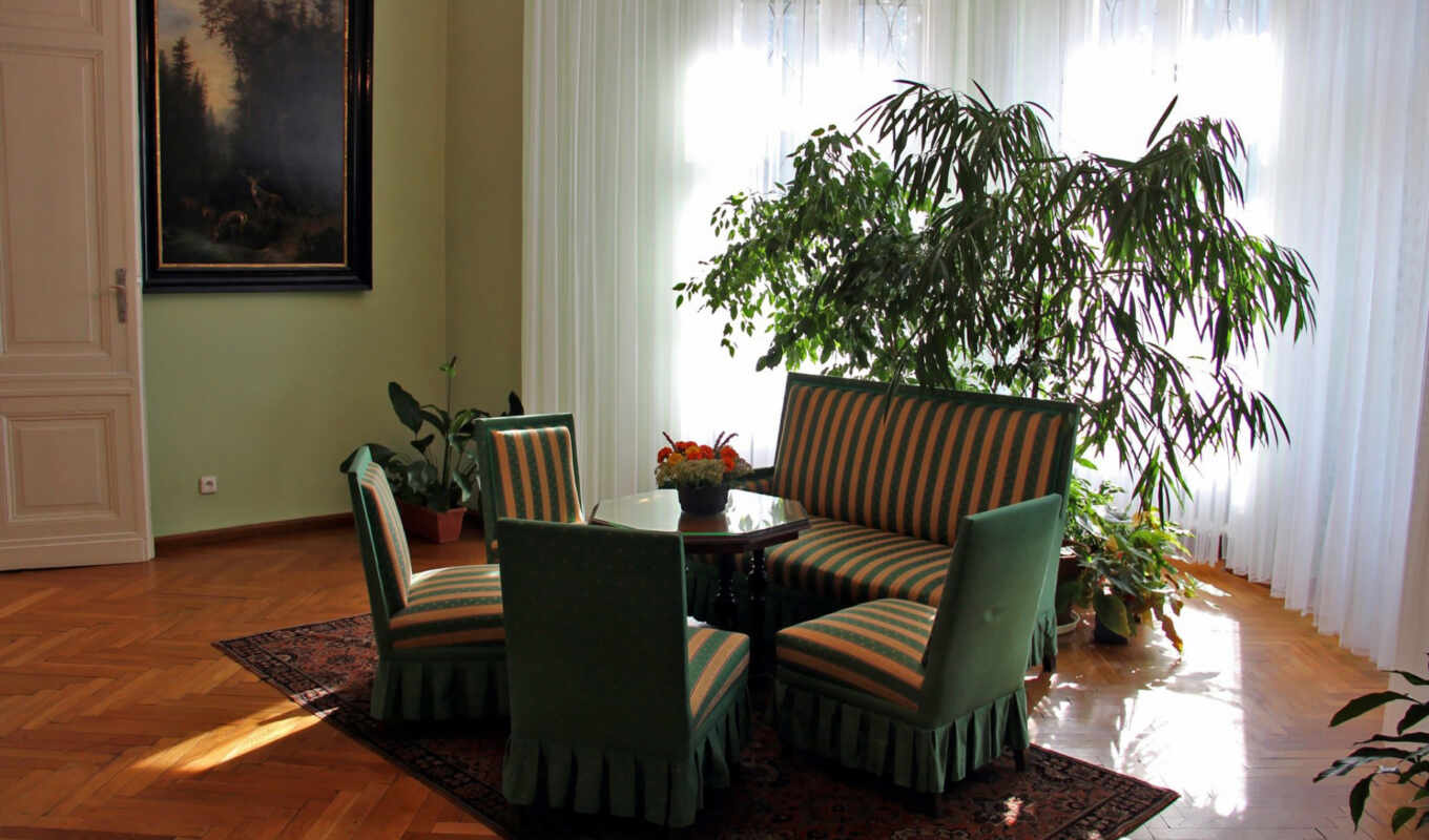 interior, living room, points, barborka