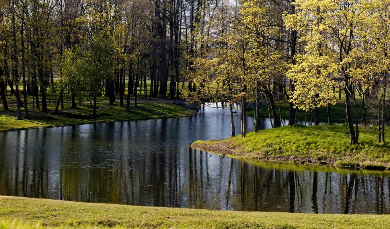 озеро, природа, красивые, красивая, заставки, осень, пруд, park, trees, stunningly