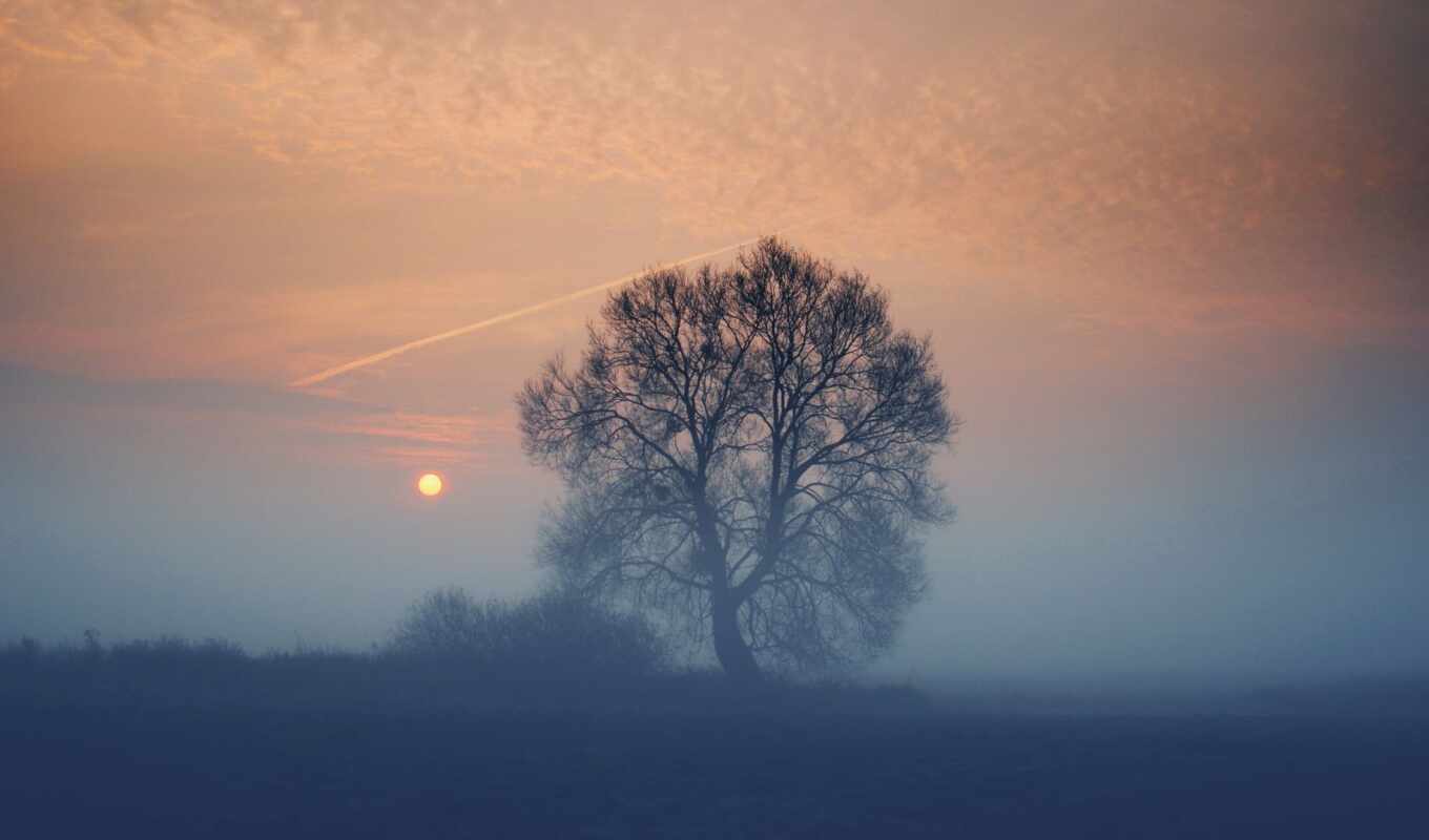 природа, sun, дерево, закат, поле, вечер, туман