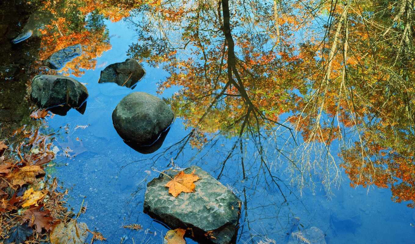 seas, autumn, autumn, trees, reflection, water, the river, reflected