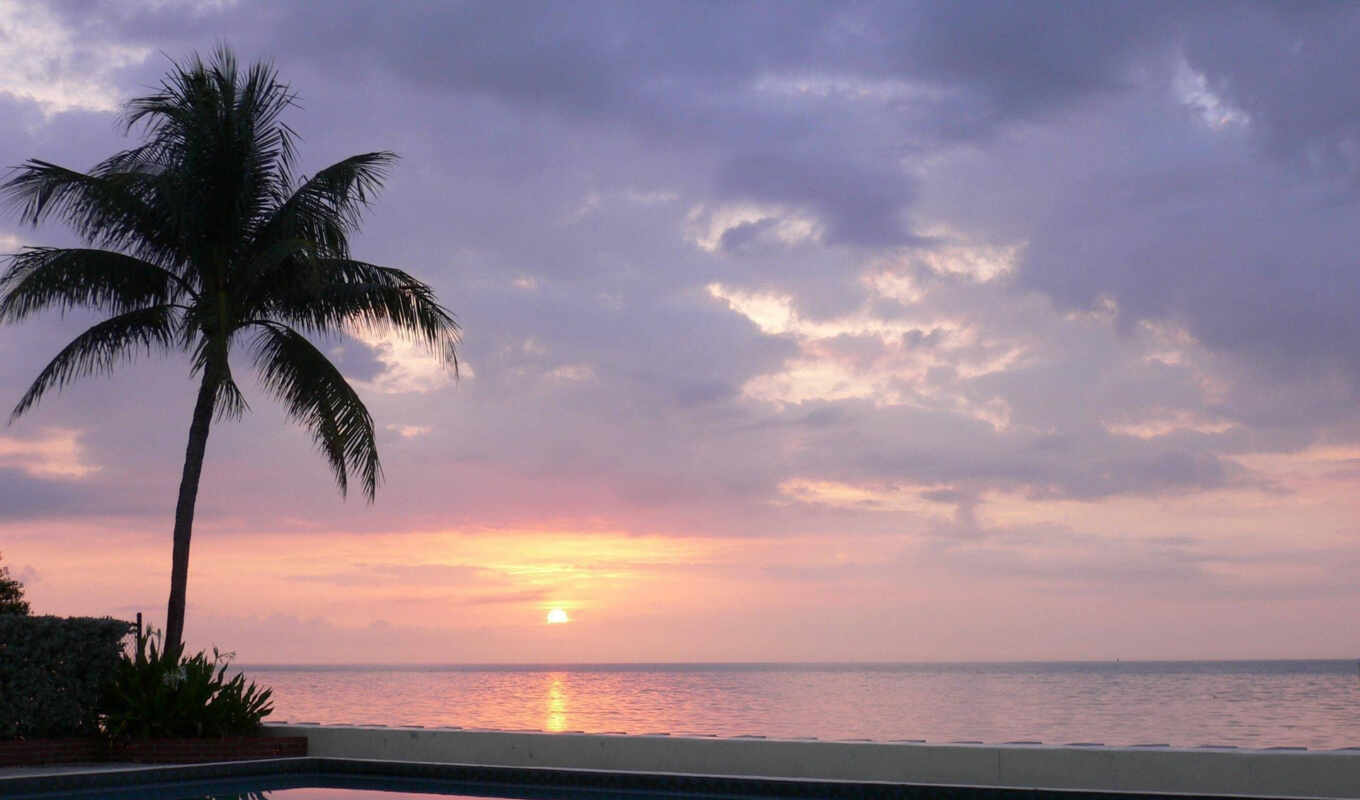небо, sun, закат, пляж, вечер, море, бассейн, сумерки, palm, отражение, rising
