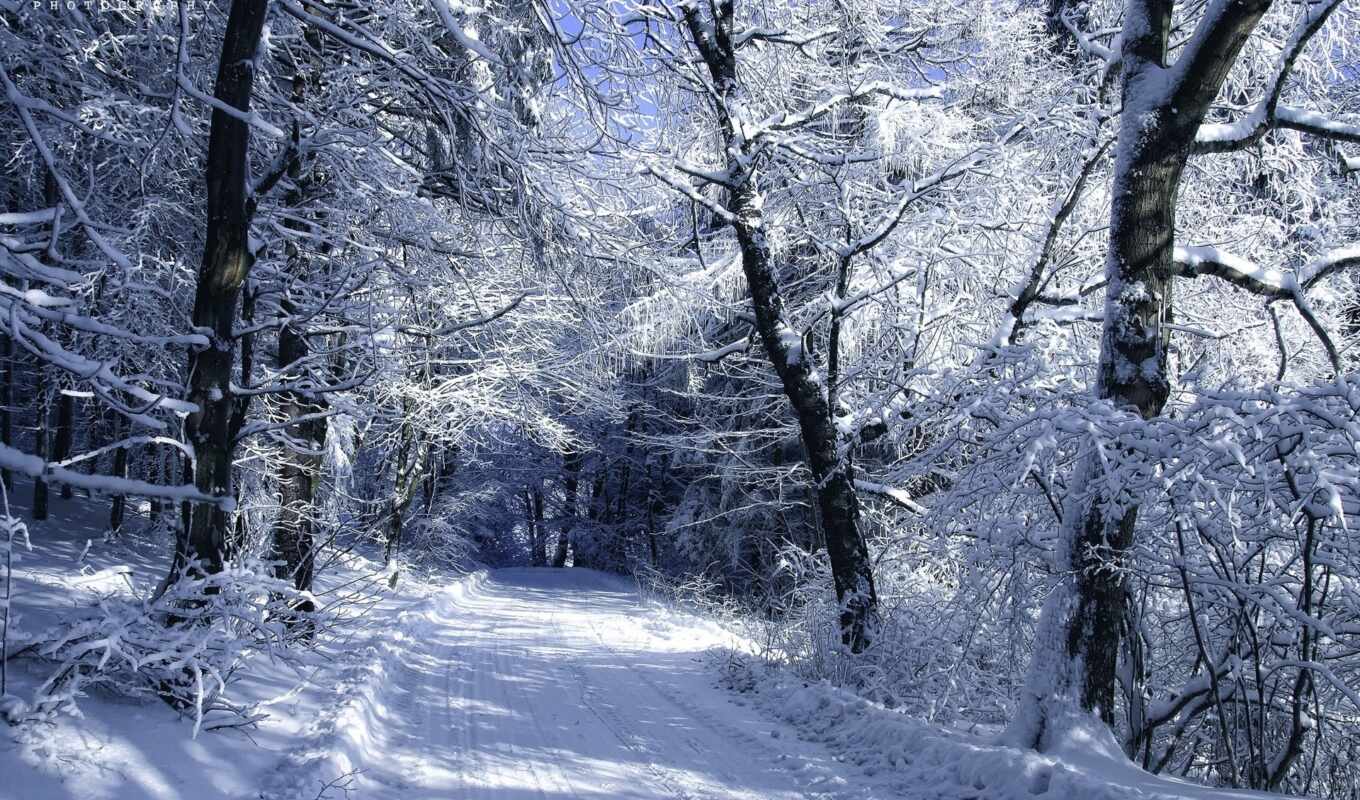 природа, winter, дорога, фотошопа, осень, природы, туман, devushki, фоны, рисунки, rylik