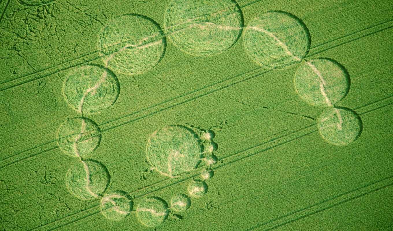 nature, circle, field, crop, high - quality