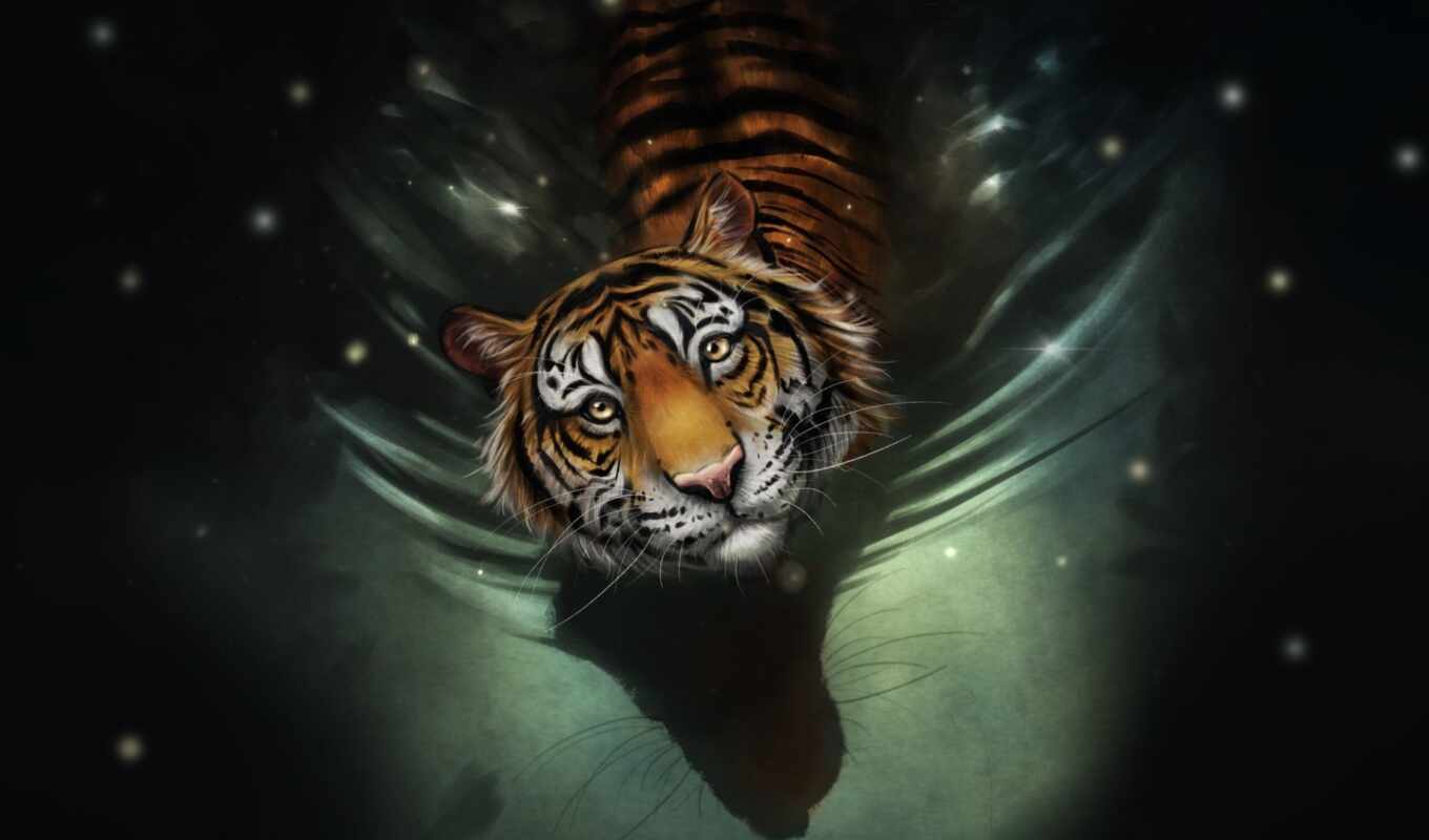 channel, water, they, tiger, animal, cover, bengali, stand, id, rendimiento