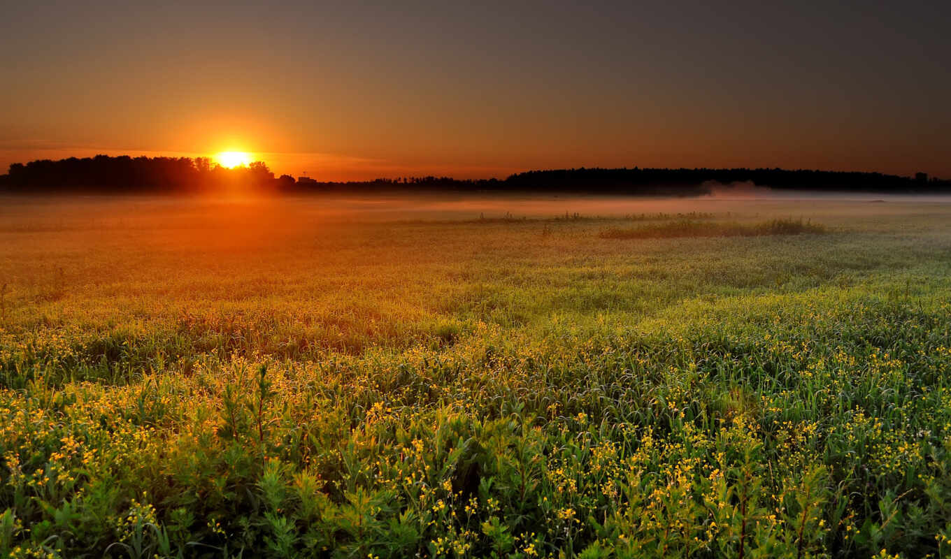 природа, sun, рассвет, поле, landscape, утро, туман, rising