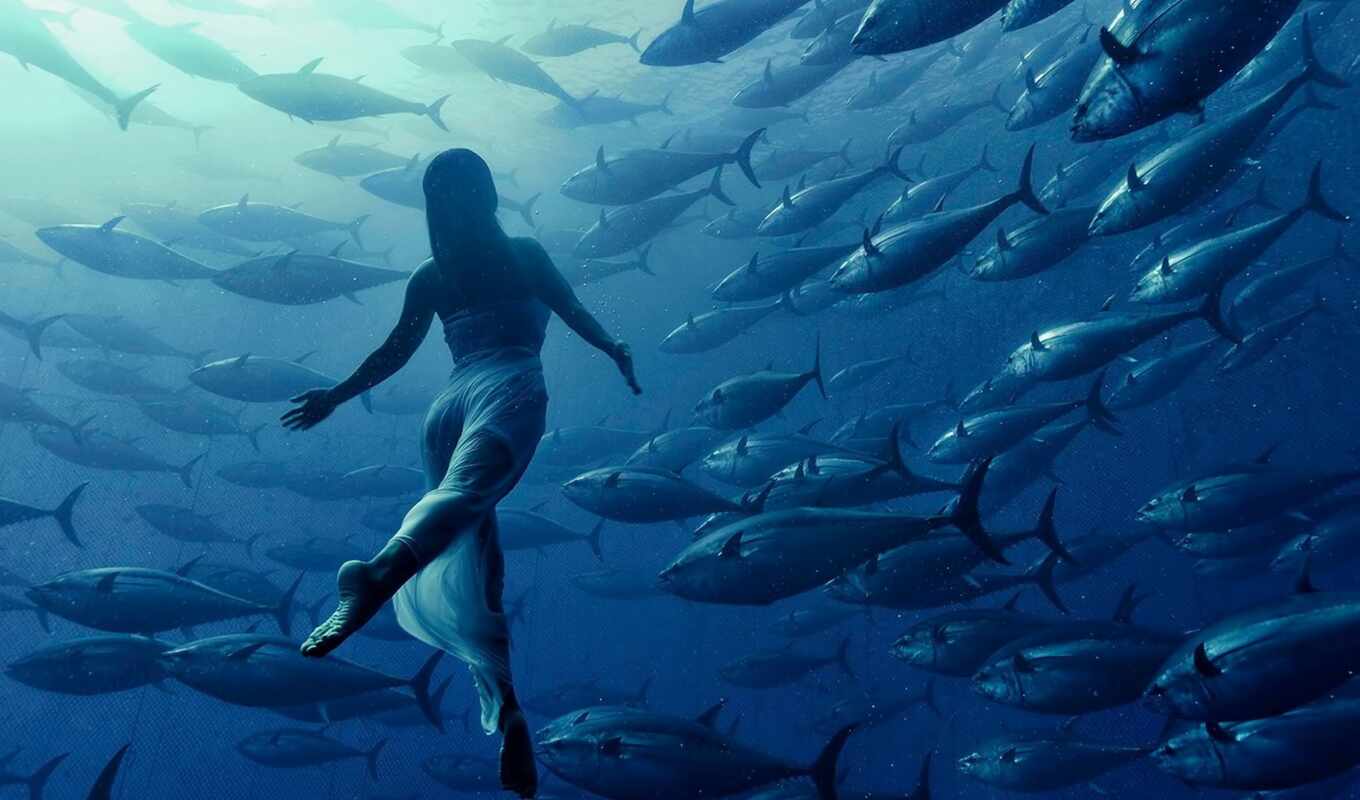 girl, water, under, ocean, among, different, with water, swimming, fish