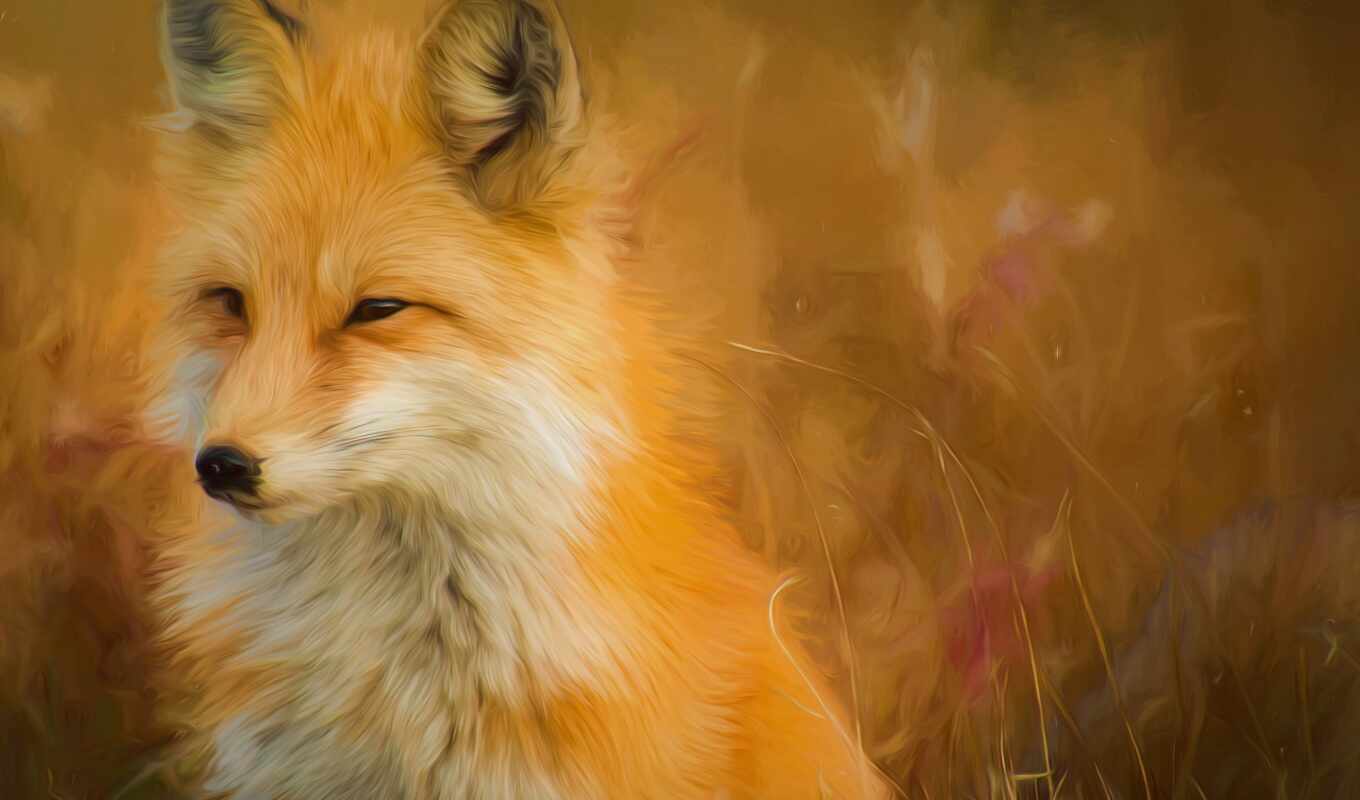 picture, red, fox, add, animal, drawing, lid