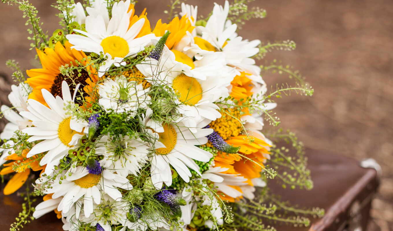 flowers, bouquet, chamomile, because