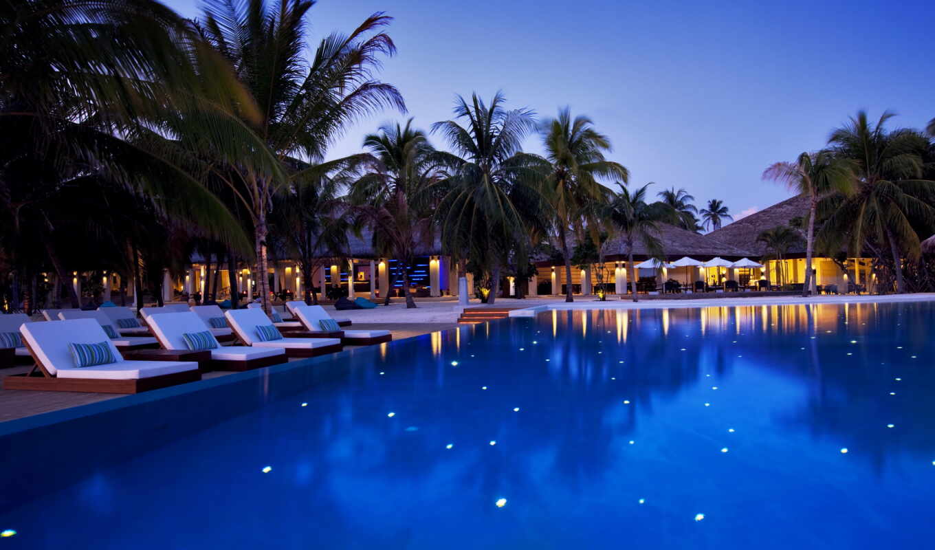 evening, hotel, swimming pools, palm trees, swimming pool, maldives, velassaru, deck chairs
