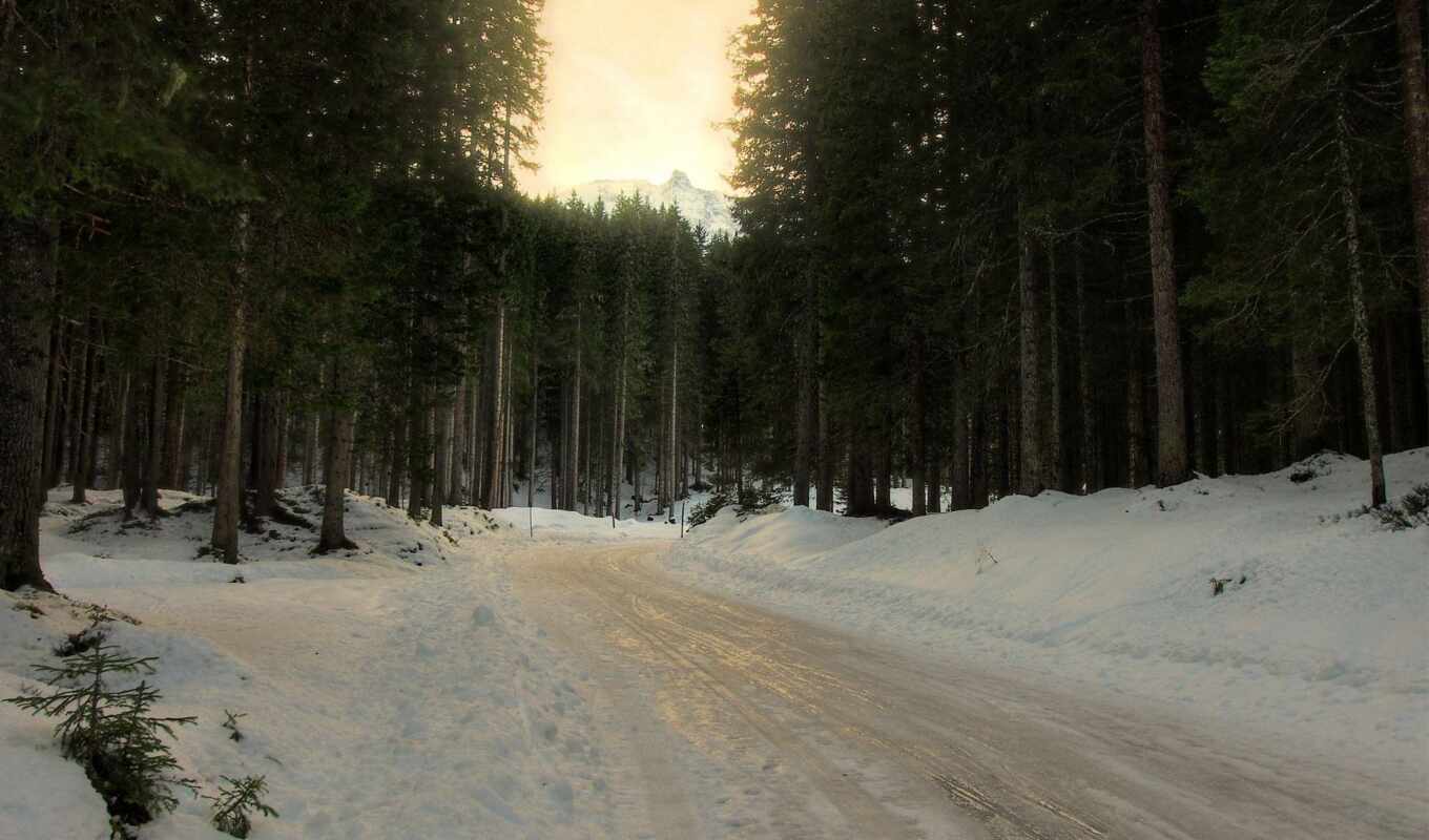 снег, winter, лес, дорога, trees, трек, ёль, поворот, следы, хвойные