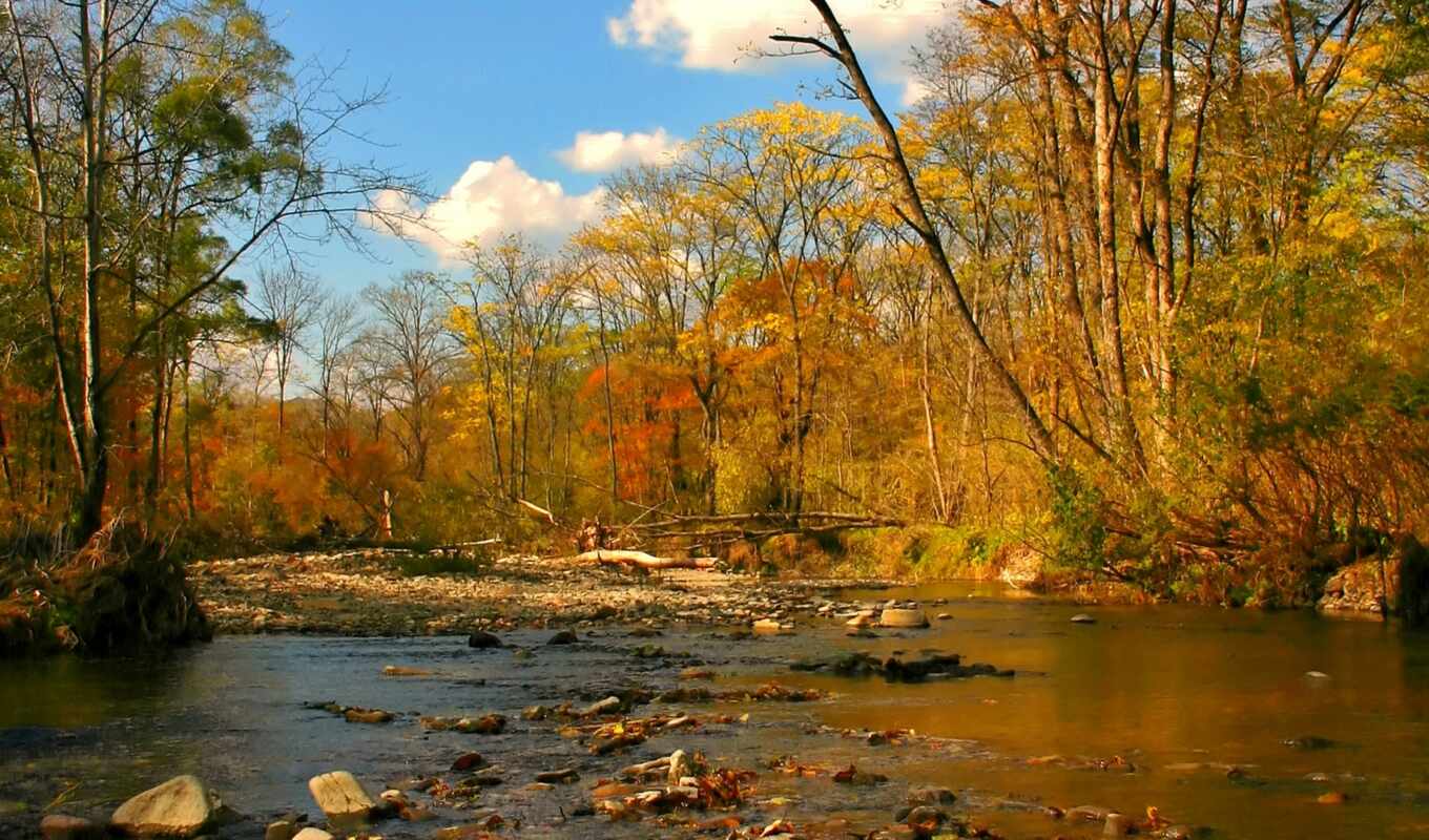 screensavers, autumn, the, creek