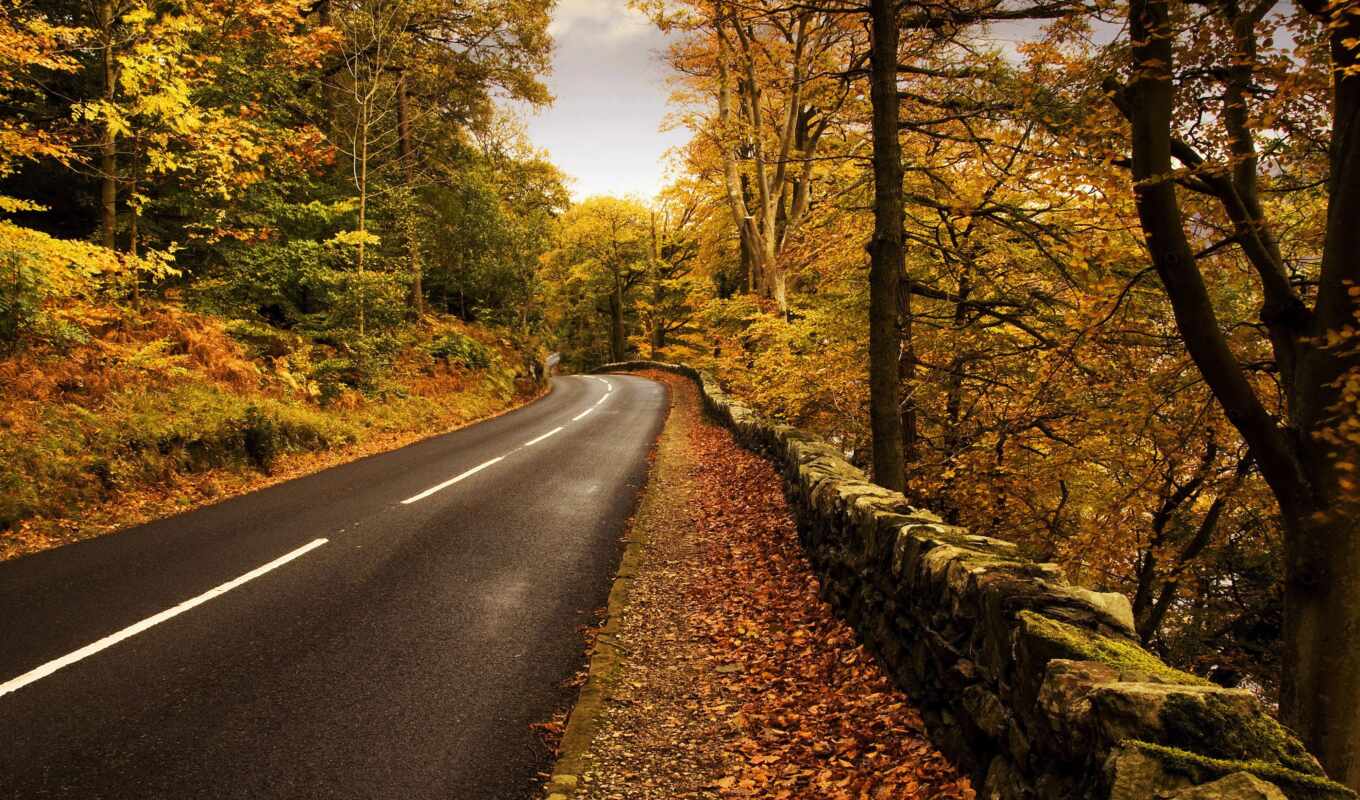 nature, road, years, time, autumn, markup