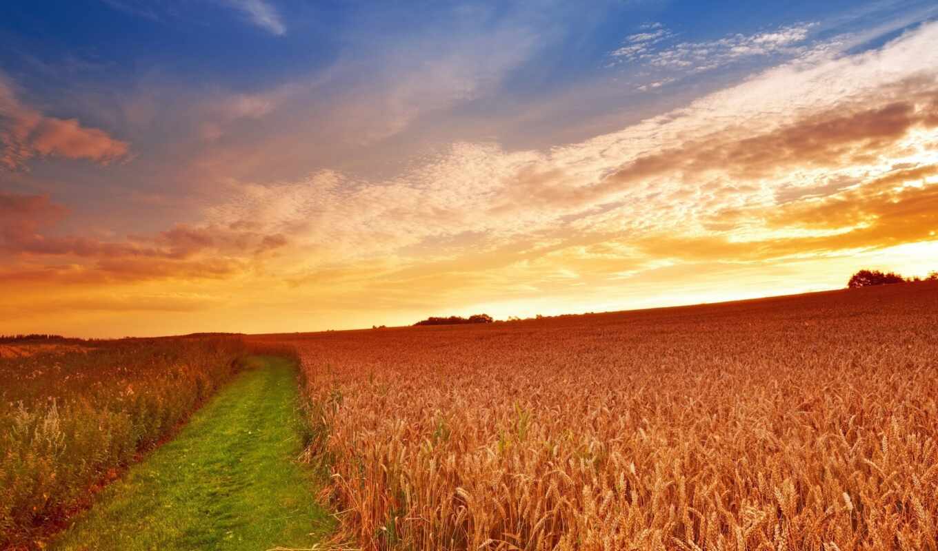 nature, large format, sunset, farm