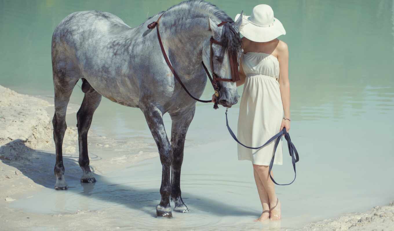 girl, horse, under, white, dress, horses, hold on, horse, leisure