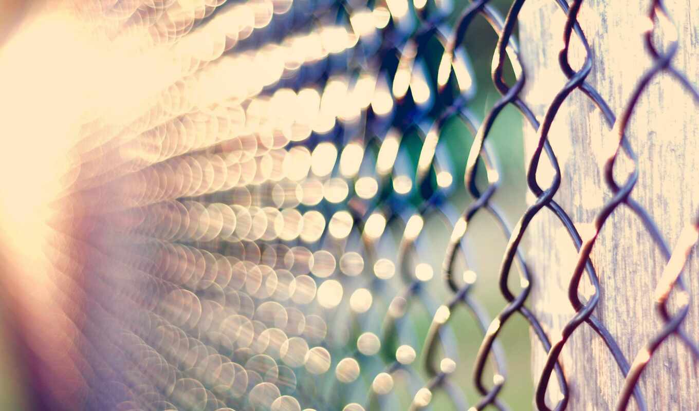 macro, night, grid, fence, with your own, chain link, grids, grid, hands, chain links