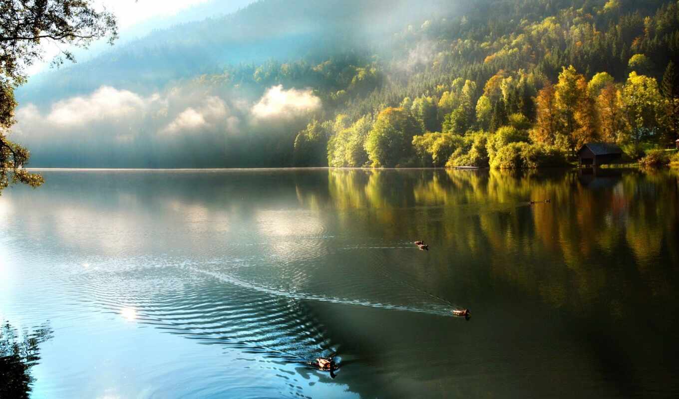 озеро, природа, красивые, лес, гора, осень, утки, утро, туман, copy, горы