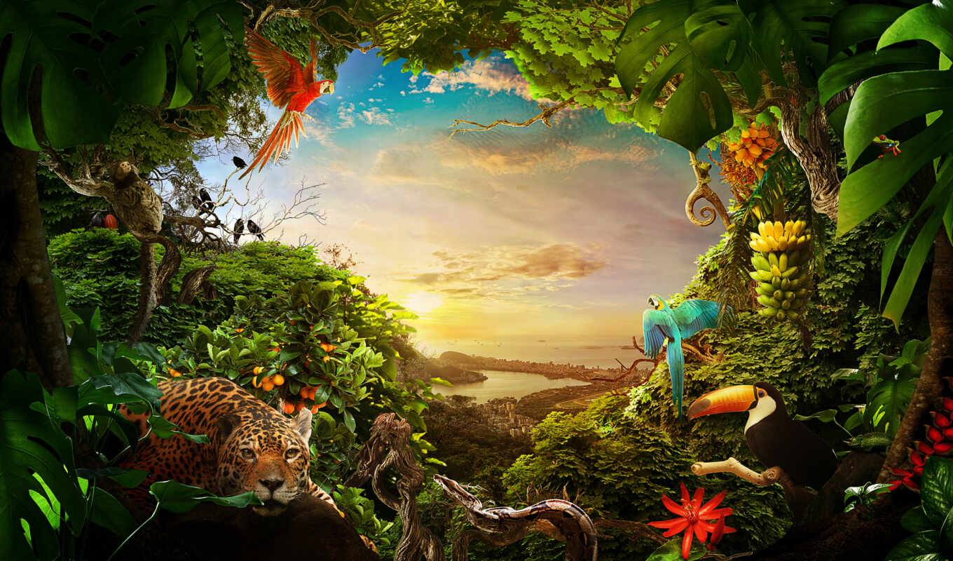 природа, landscape, животные, wild, день, animal, brazil, wood, camp, детский, litotut