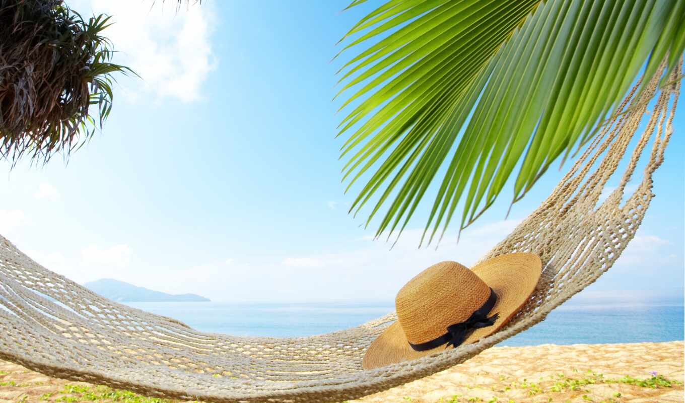 природа, шляпа, summer, дерево, пляж, море, отдых, palm, vacation, гамак