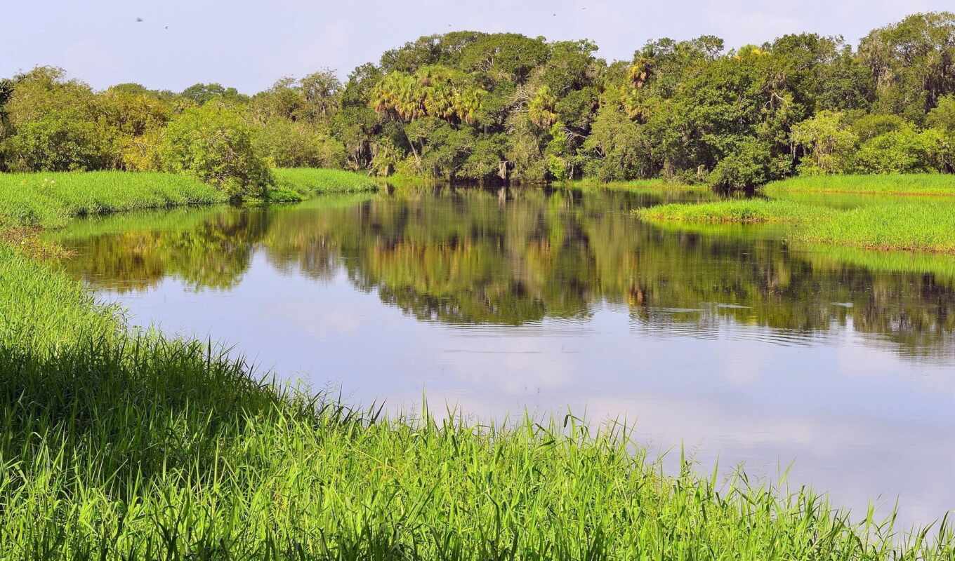 nature, pond, river, calmness