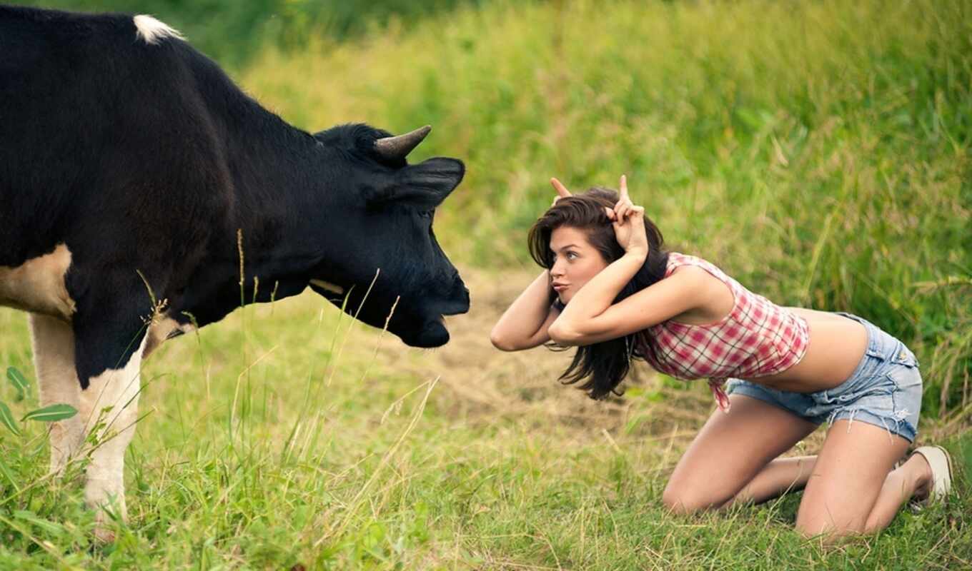 девушка, funny, cow, коровы