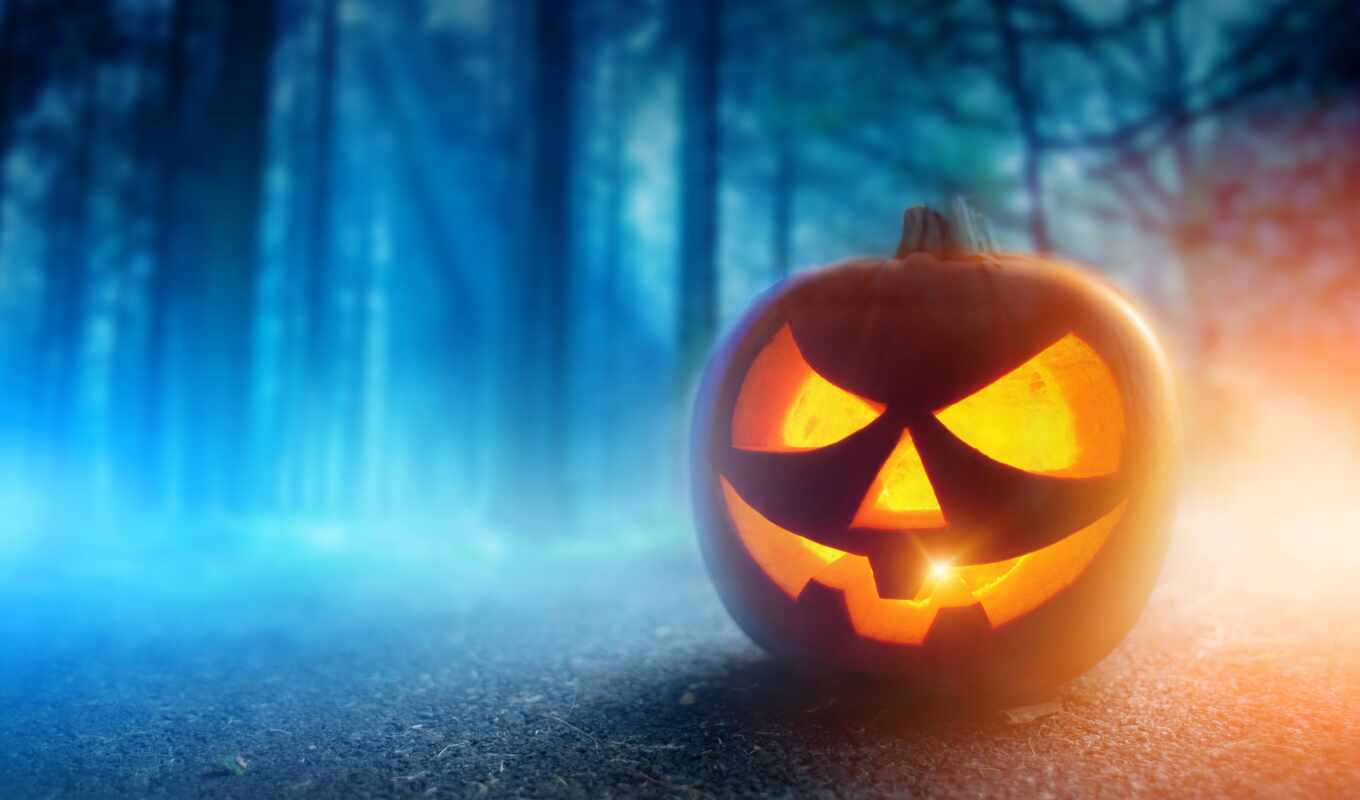 halloween, lamp, pumpkin, lantern, jack