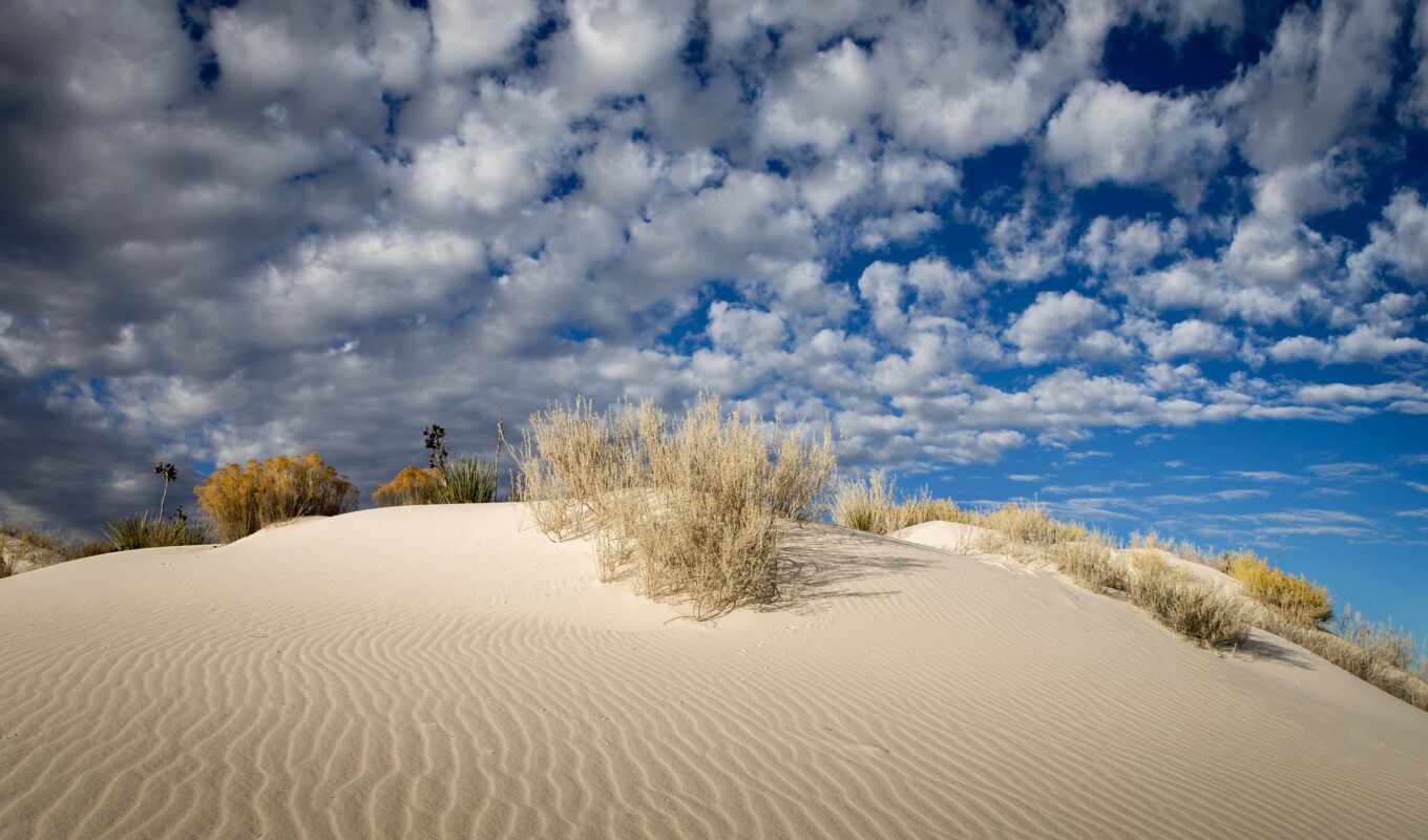 white, песок, пустыня, dune