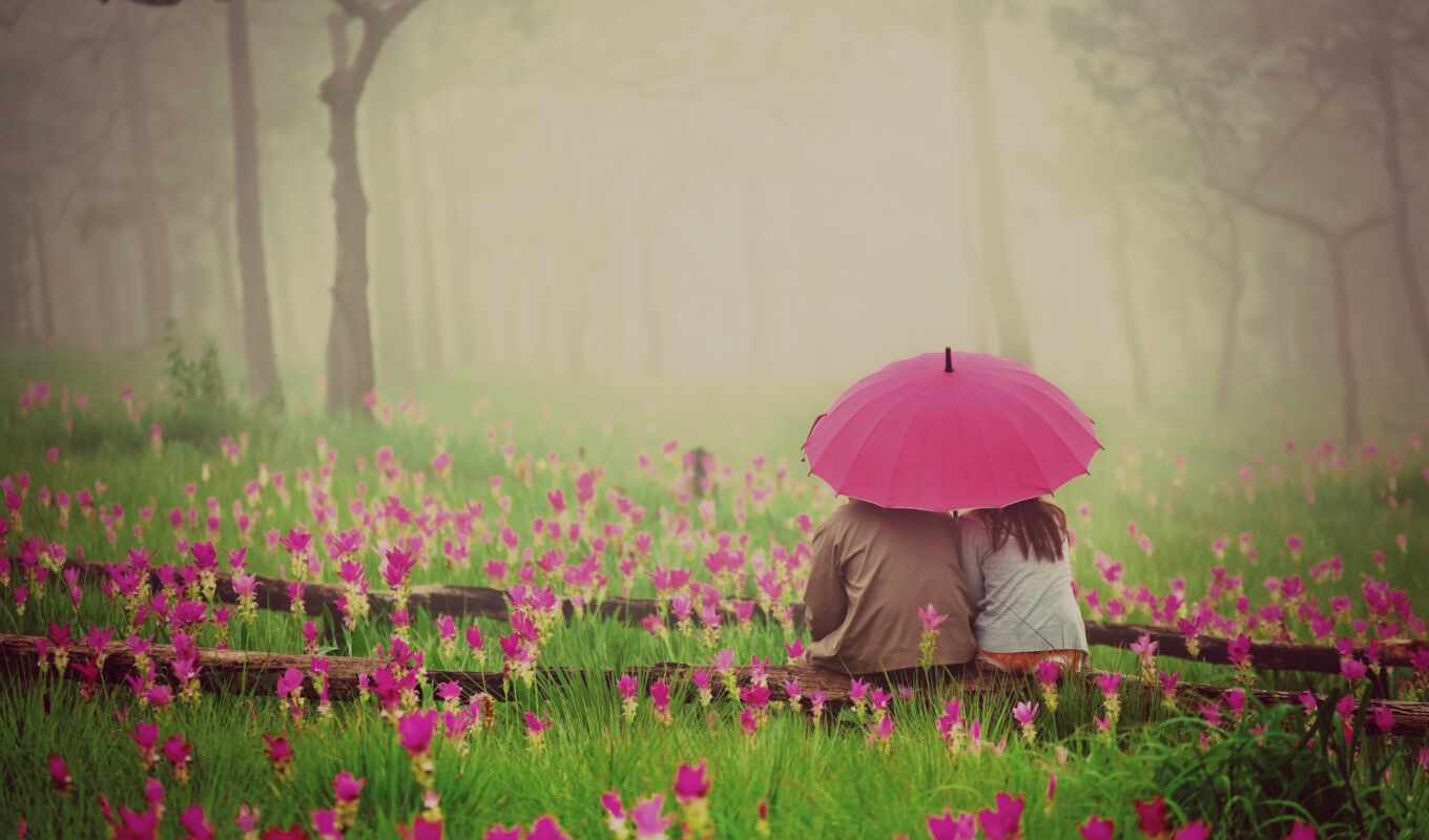 природа, цветы, девушка, love, женщина, фон, дождь, пара, розовый, romantic, зонтик