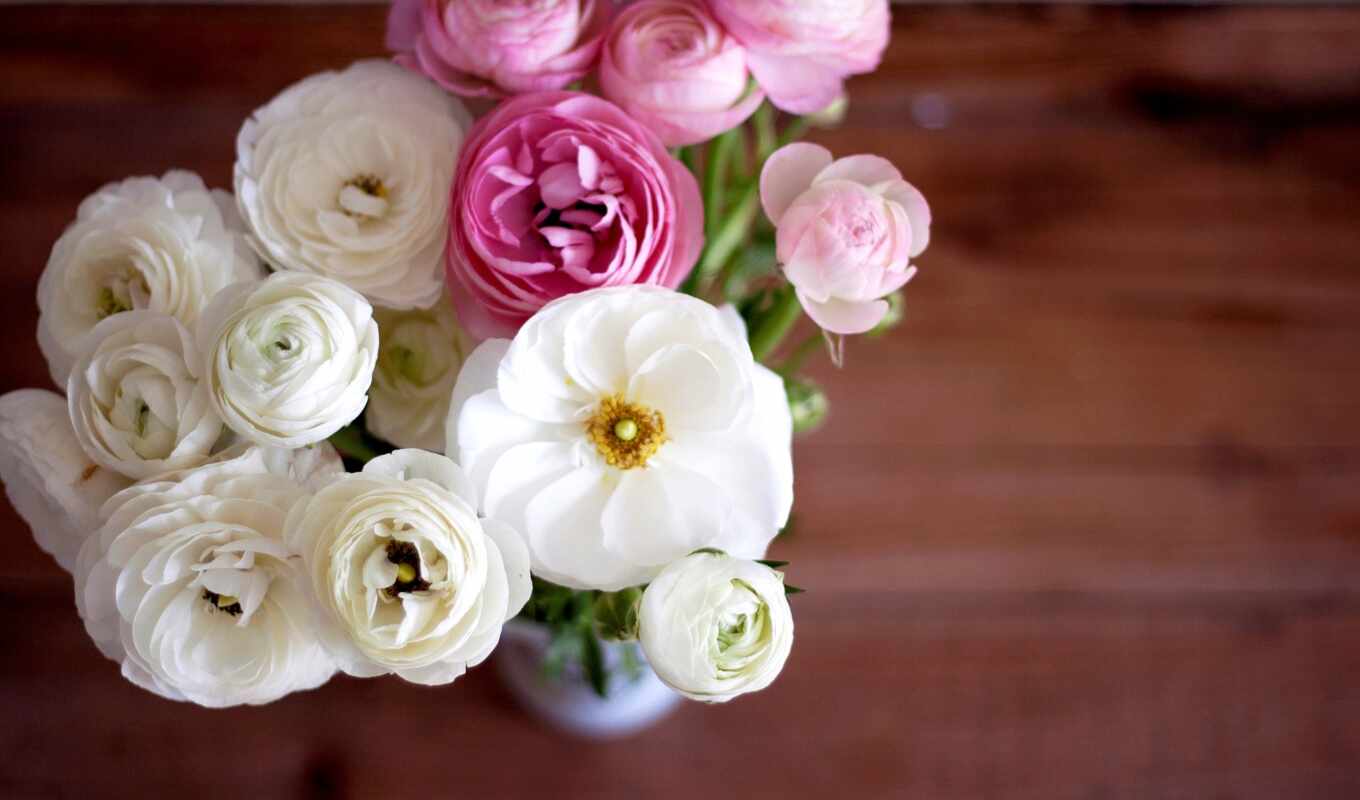 flowers, white, pink, bouquet, rank, buttercup, rununculus