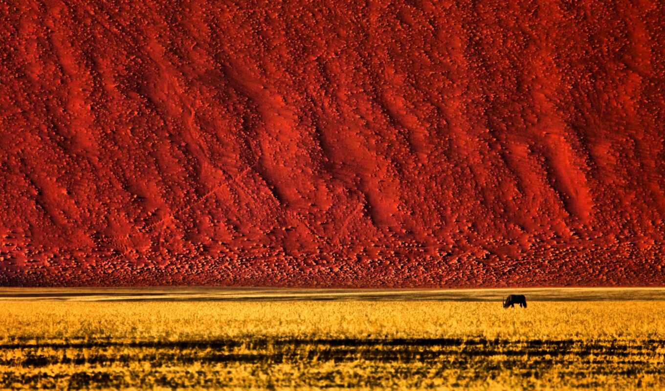 mac, landscape, oryx, namibian