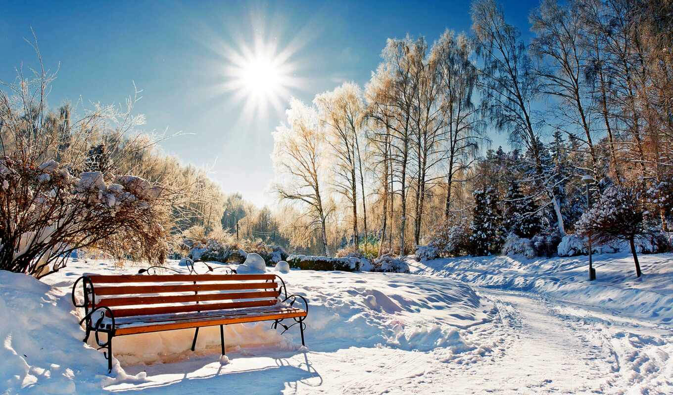 sun, winter