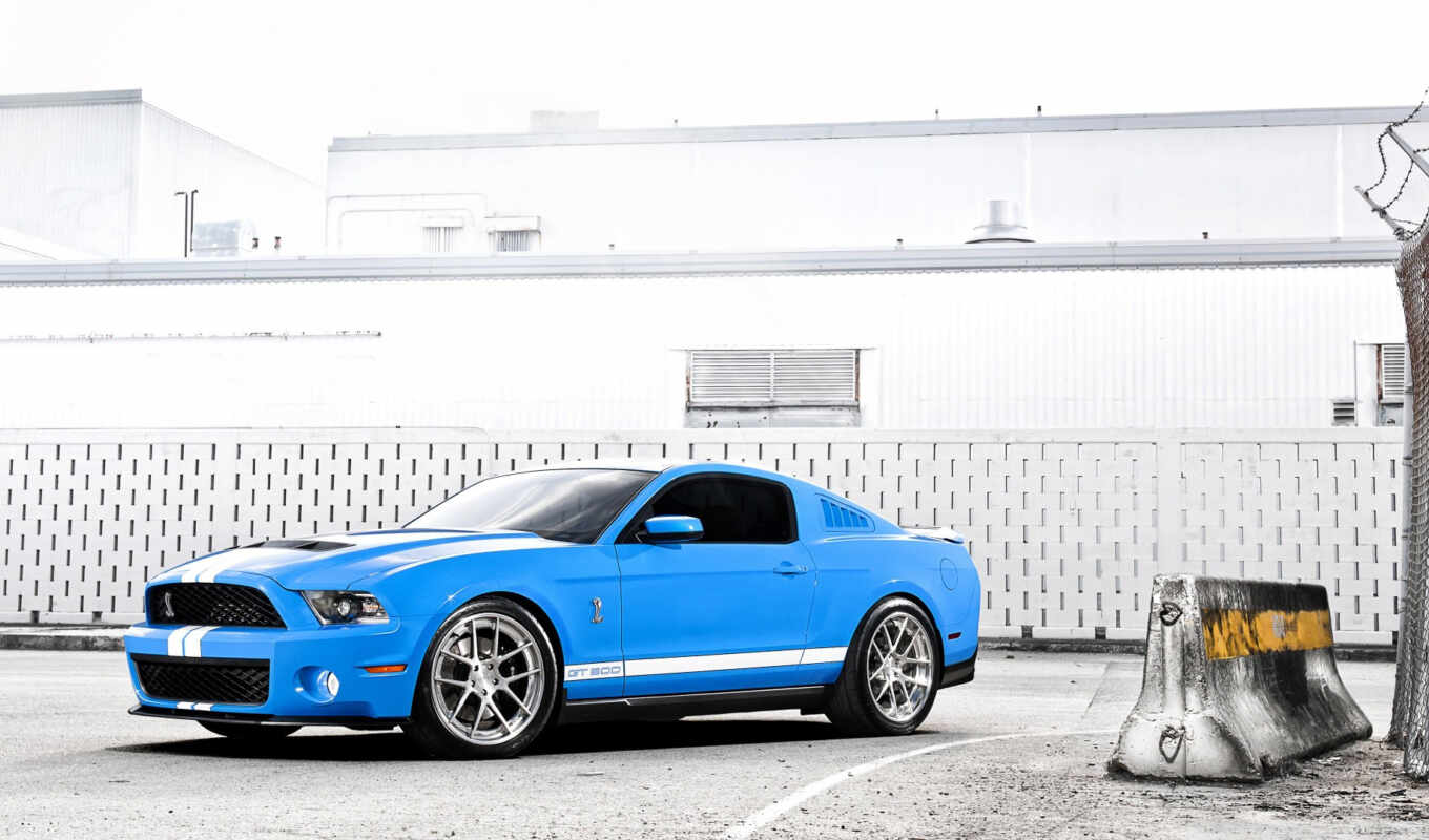 ford, mustang, shelby, cobra, gt 500