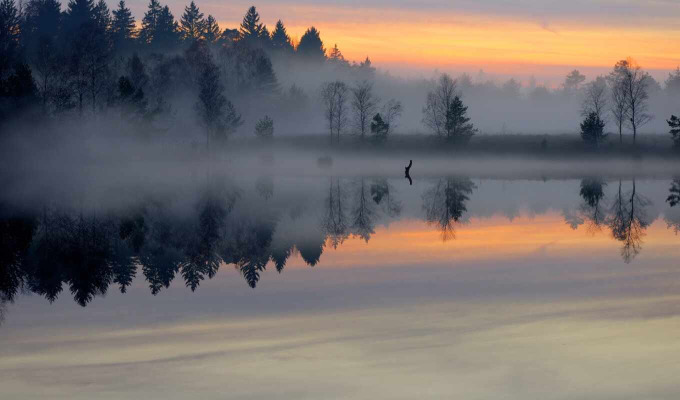 lake, nature, sunrise, forest, pond, morning, fog, sweet