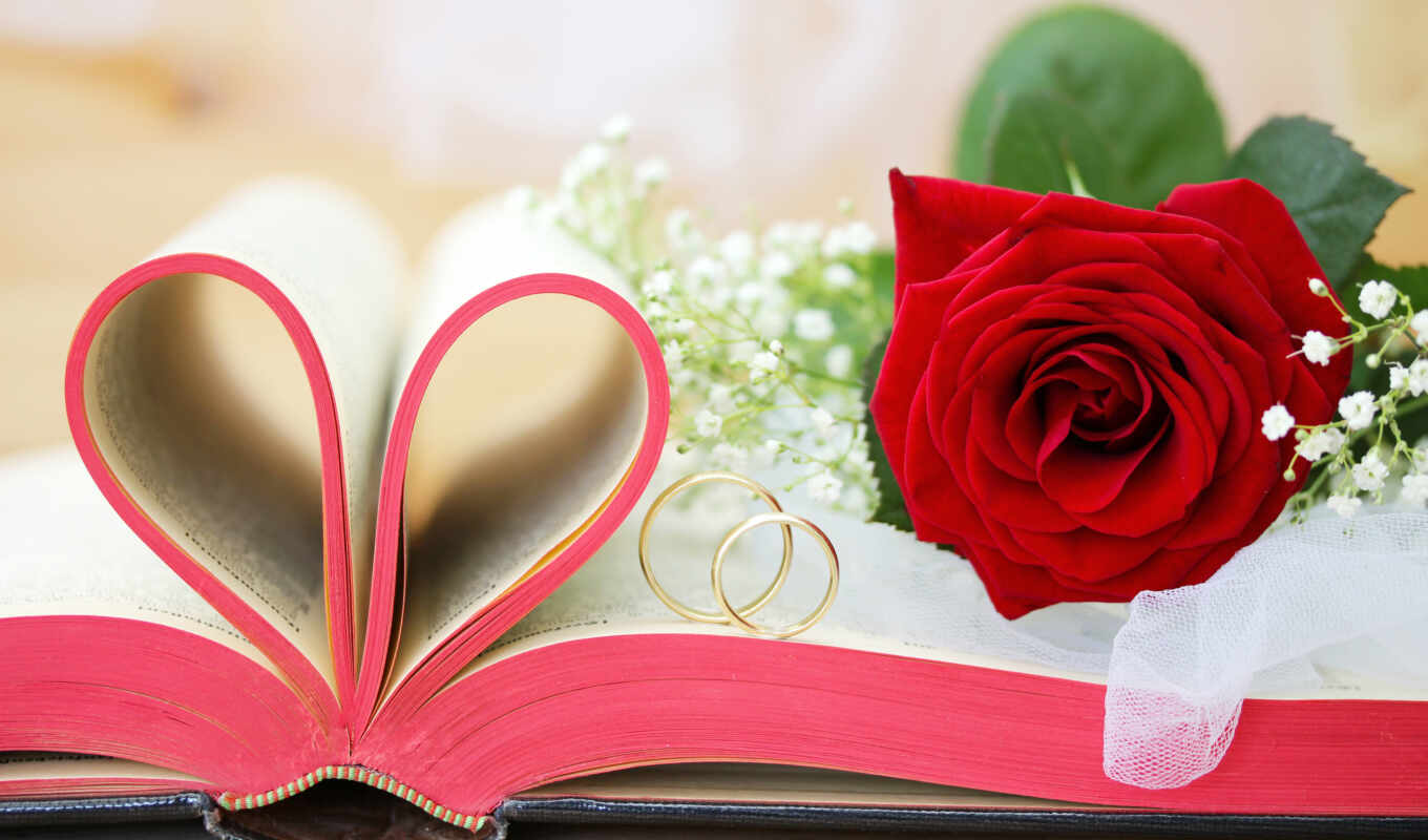 цветы, роза, книга, red, ринг, сердце, день, valentine, святая, помолвка