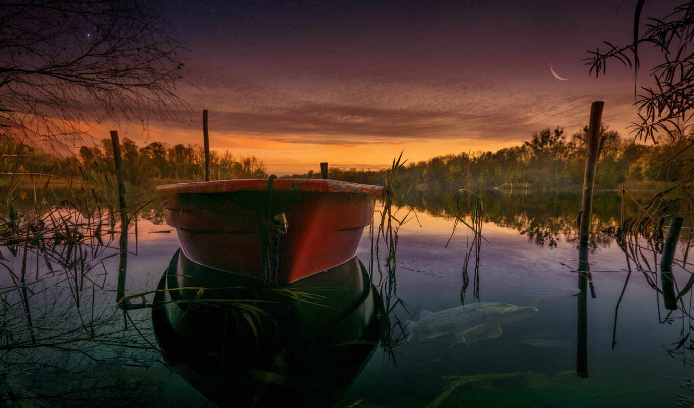 lake, nature, sunset, landscape, a boat