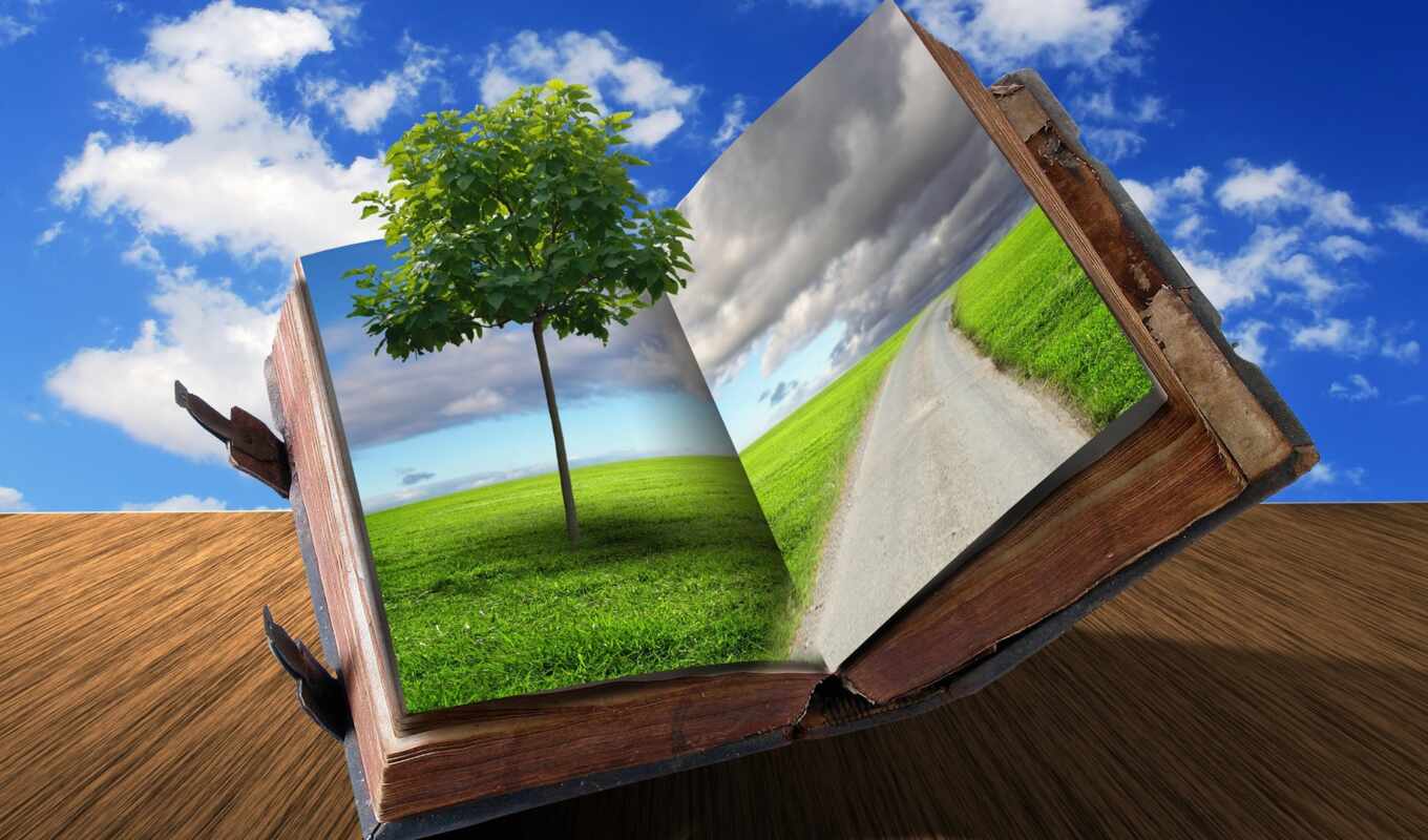 book, creative, tree, grass, road, creativ, cloud, different