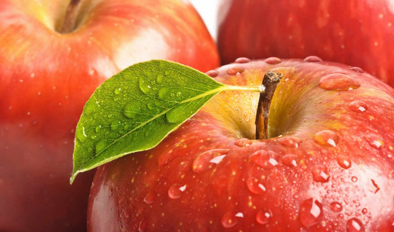 природа, еда, apple, позитивные, капли, макро, branch, транспорт, cvety, яблоки, zhivotnye