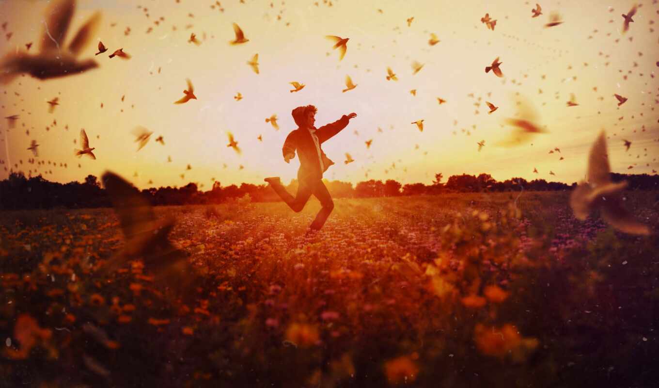 man, sun, guy, field, bird, human, warm, running, happy