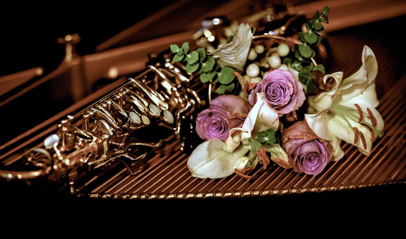 цветы, музыка, взгляд, комментарий, еще, fond, life, rate, instrument, труба, id