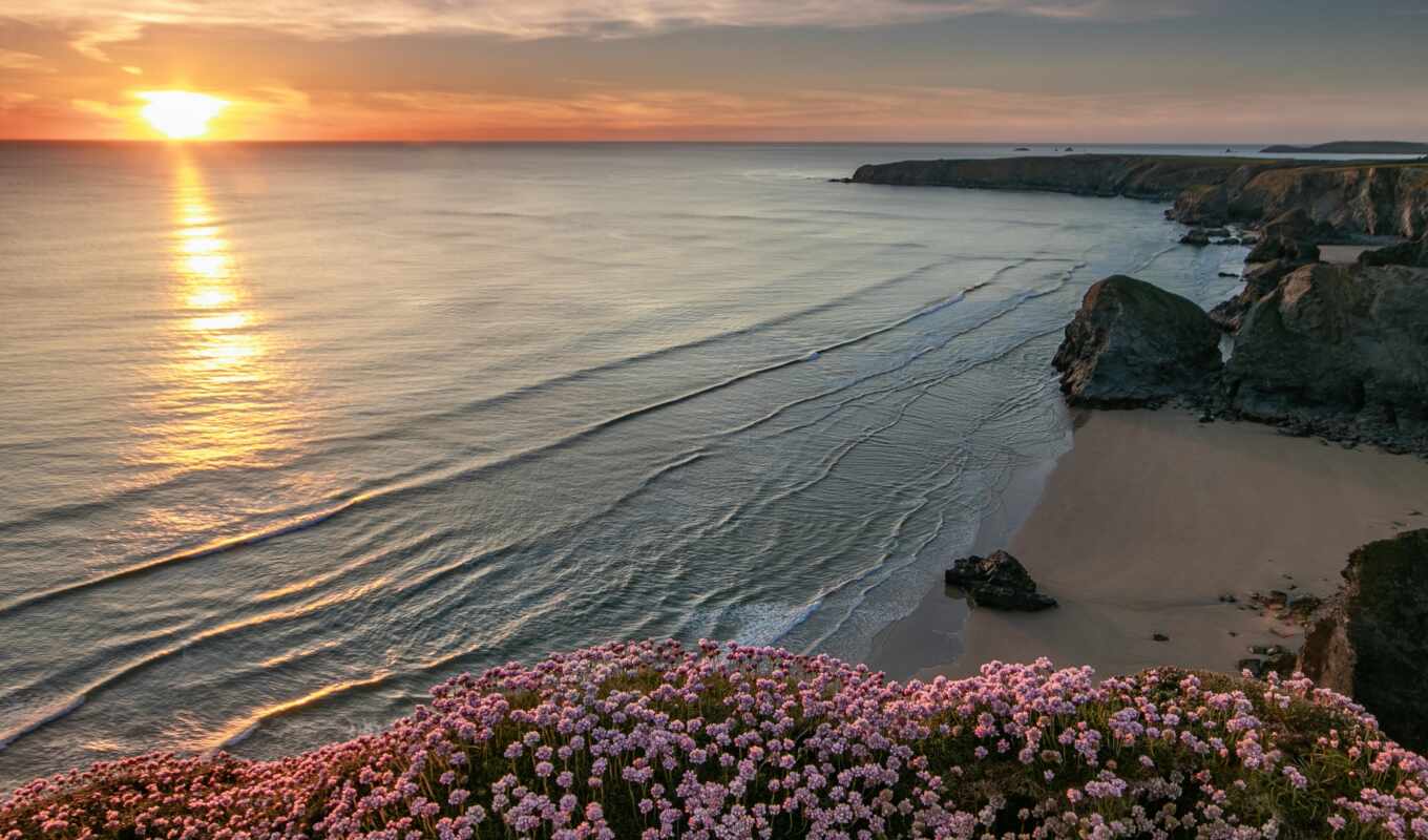 flowers, sunset, beach, Great Britain, sea, coast, sand, England, horizon, centre
