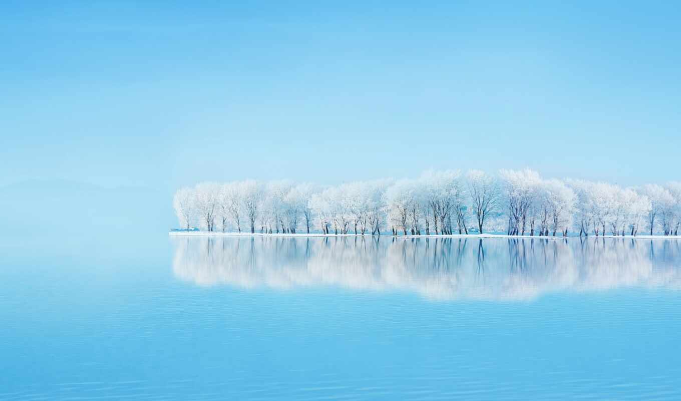 небо, дерево, winter, clear