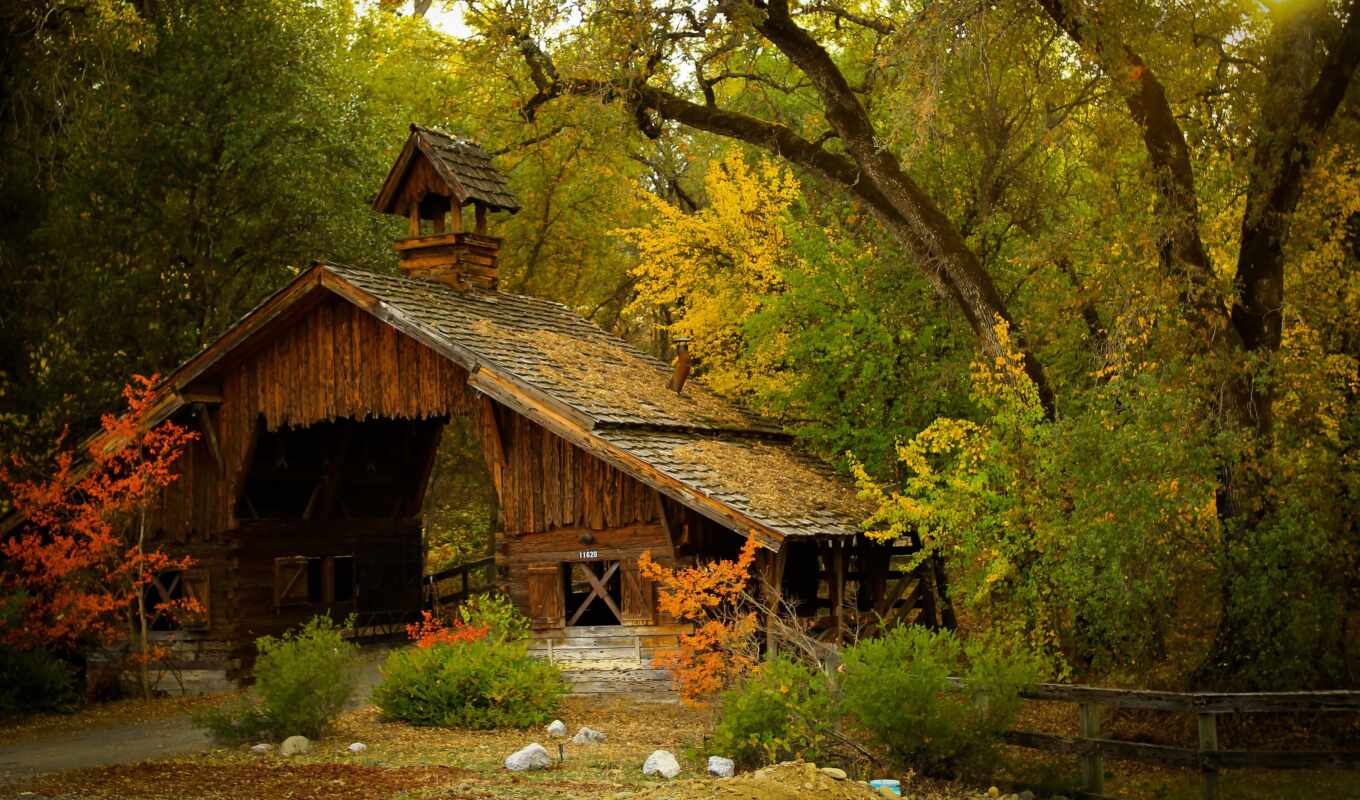 nature, house, at home, forest, forest, hut, autumn, in autumn