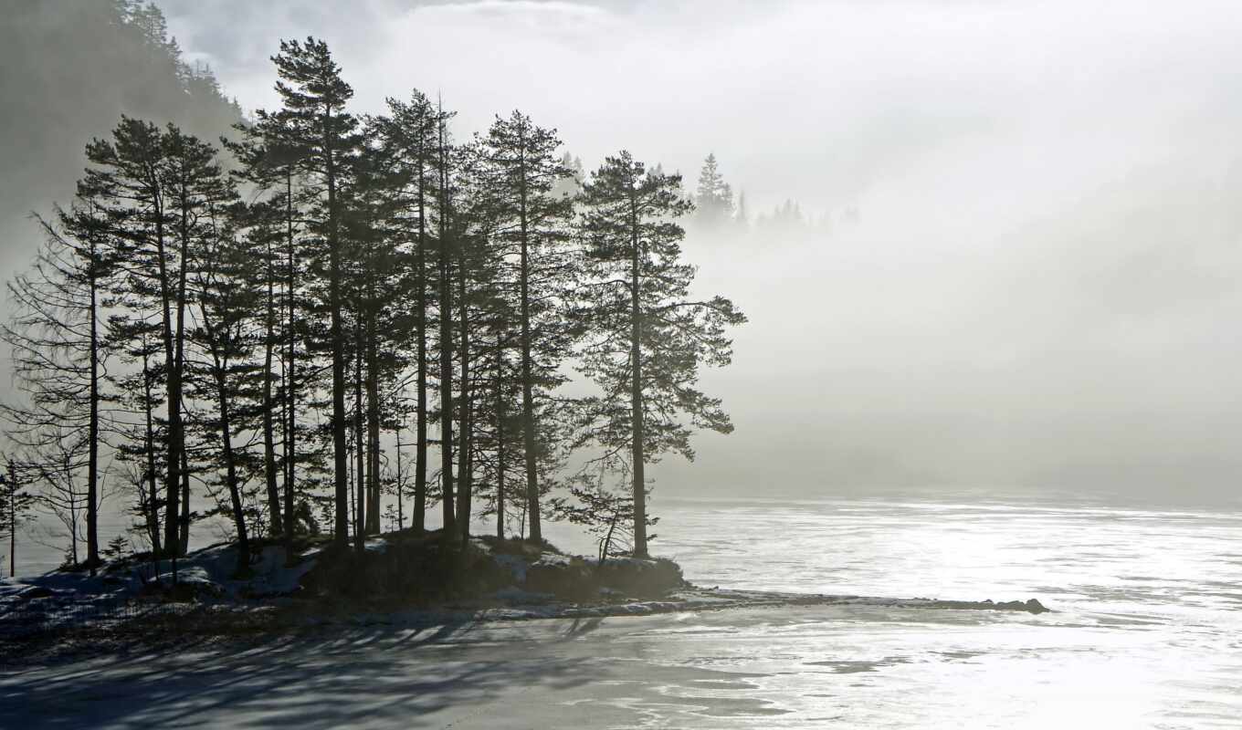 озеро, природа, landscape, утро, минимализм, trees, туман