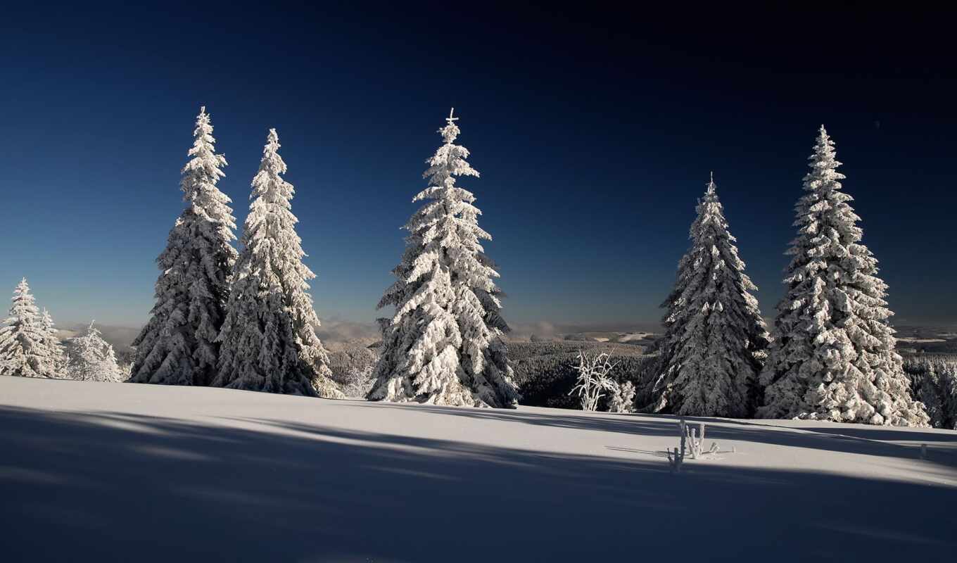 nature, sky, there is, tree, snow, winter, forest, mountain, landscape, add, Christmas tree