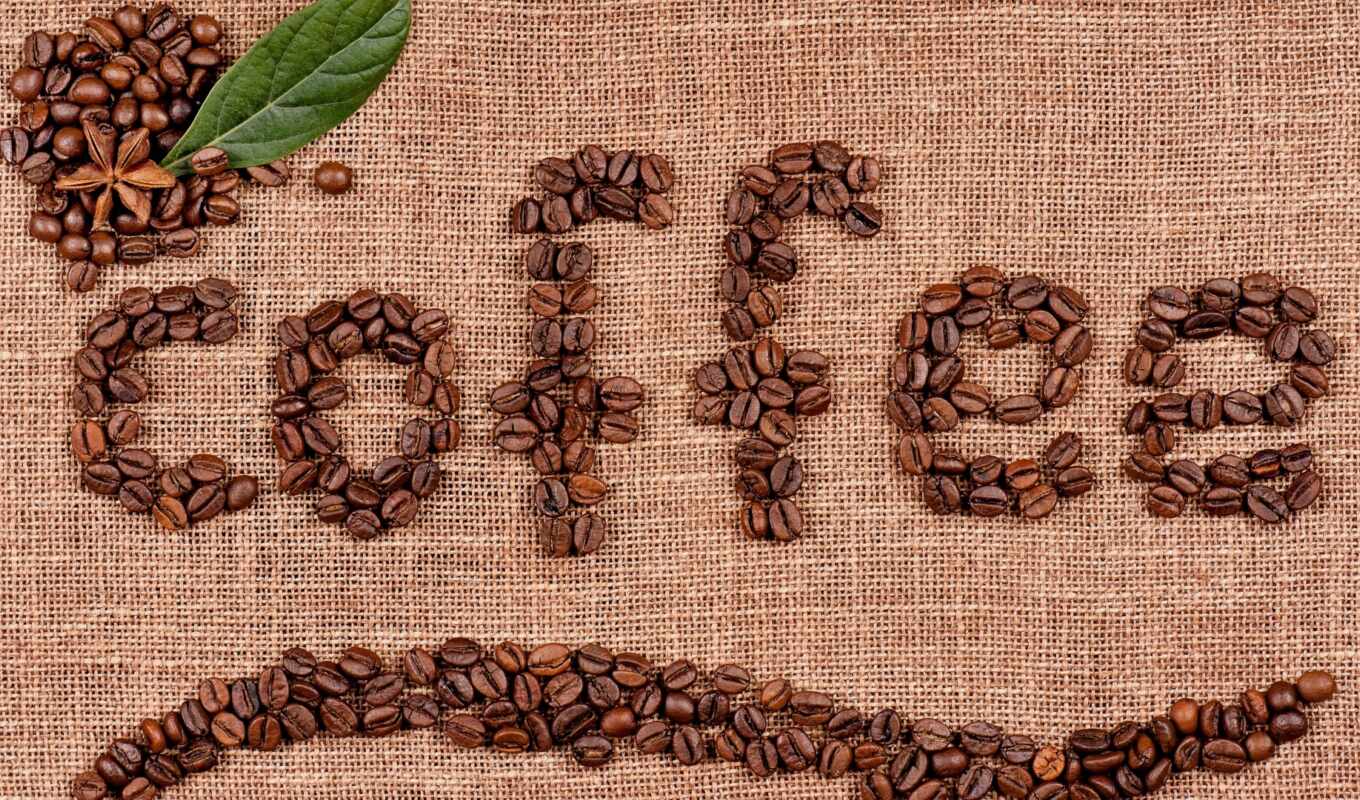 coffee, seed, bean