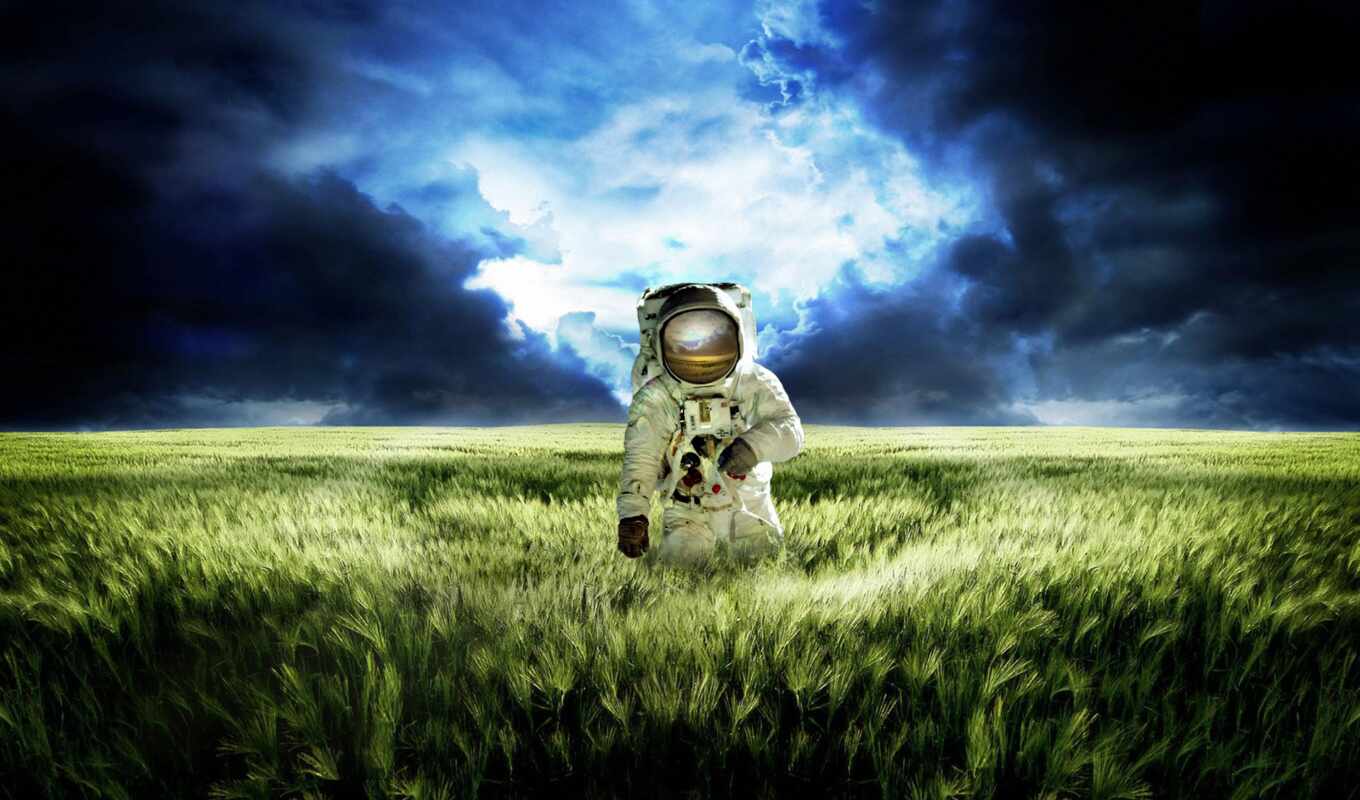 картинка, поле, космонавт, другой, планете, пшеница