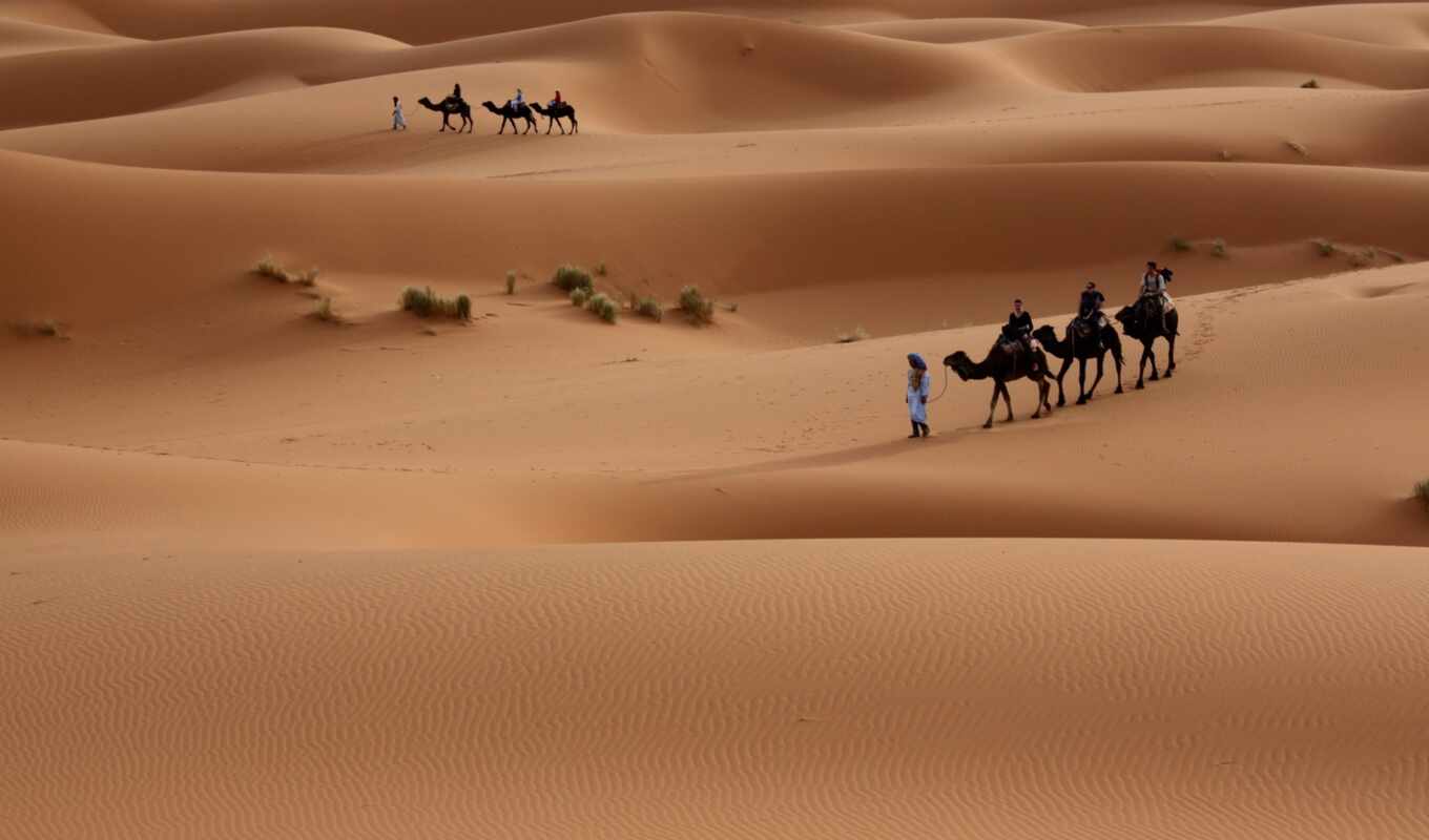 caravan, пустыня, sands, camel, верблюды, пустыни, караваны