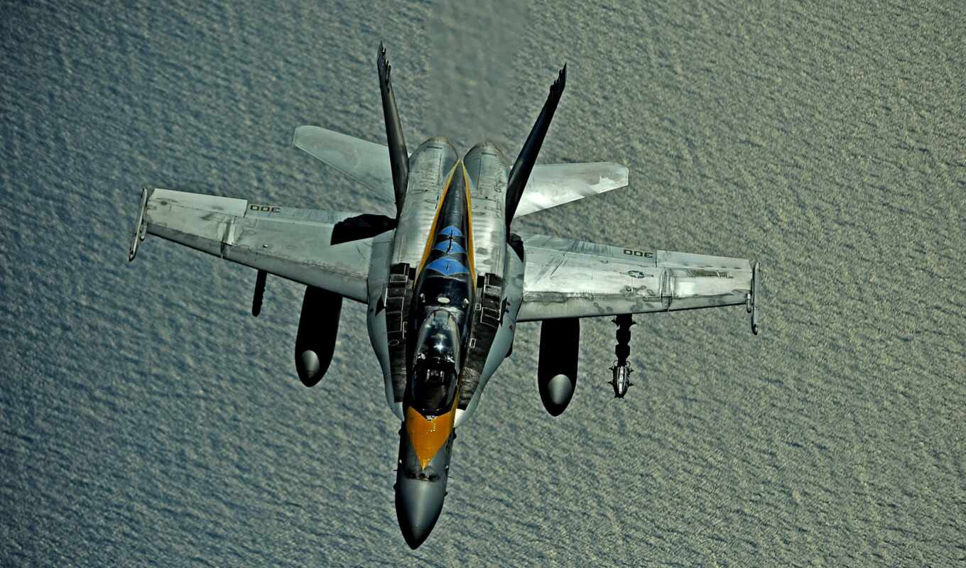 plane, the fighter, aviation, hornet, 18 years