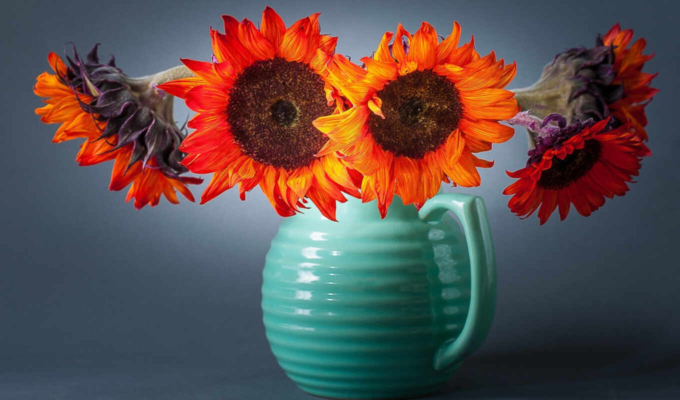 flowers, sunflower, vase, kitchen, background, rear, kune